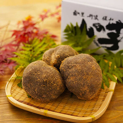 【HIRANO FARM】限定固定種  山の芋「冨丸」