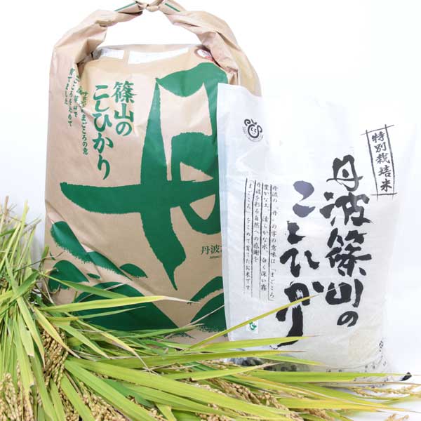 【 たぶち農場 】 丹波篠山のこしひかり 特別栽培米 玄米 5㎏