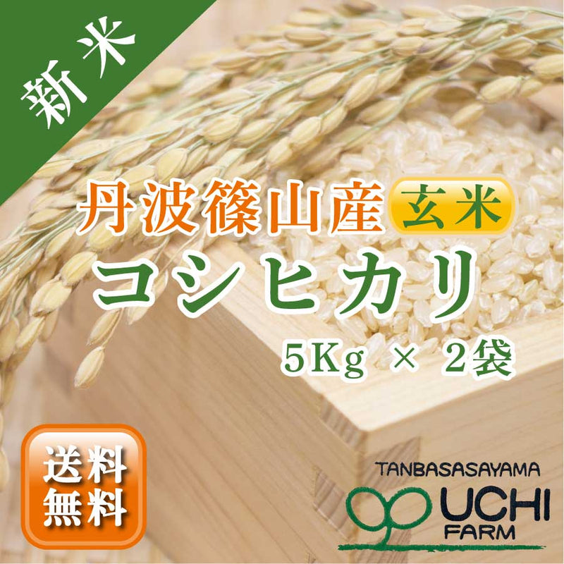 【大内農場】丹波篠山産 新米コシヒカリ 玄米 5kg×2袋