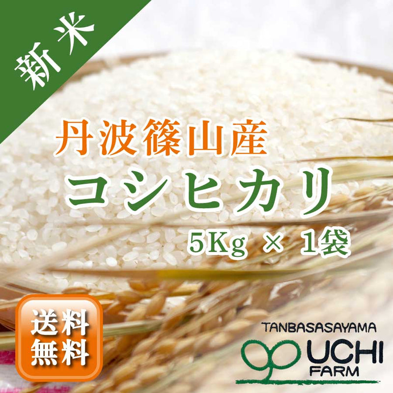 【大内農場】丹波篠山産 新米コシヒカリ 精白米 5kg×1袋