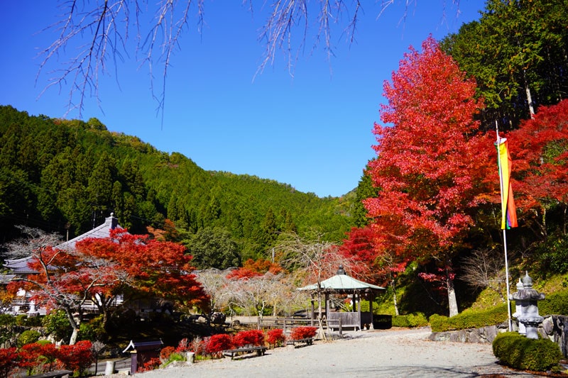 丹波篠山散歩