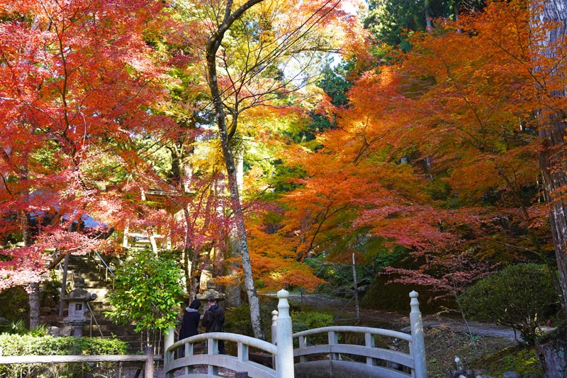 丹波篠山もみじ三山 