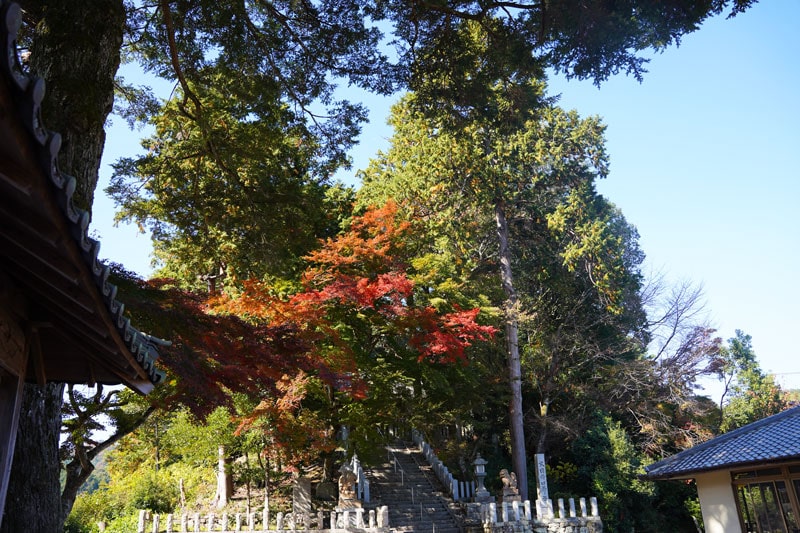 丹波篠山紅葉