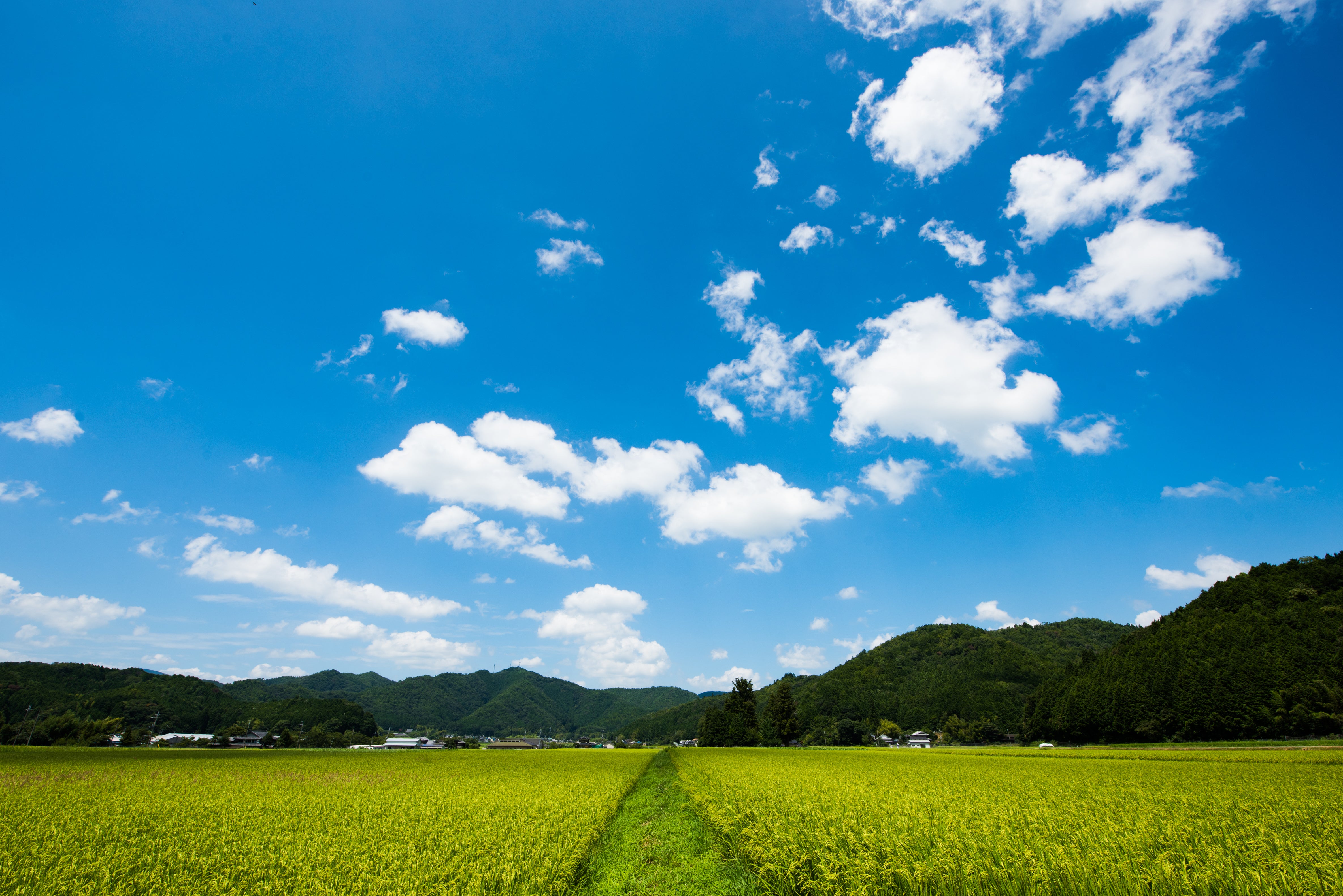 丹波篠山市