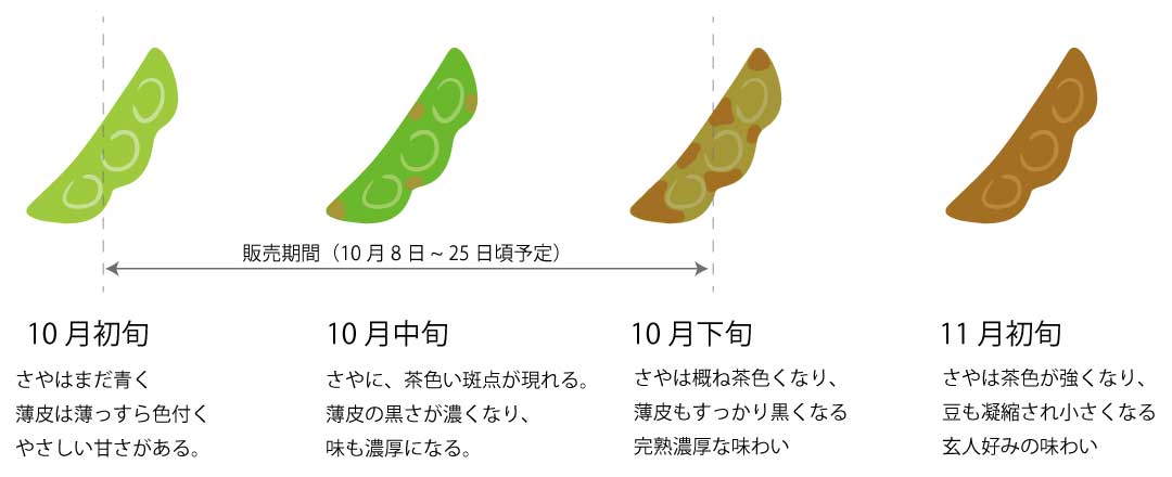 黒枝豆,丹波ささやまファン